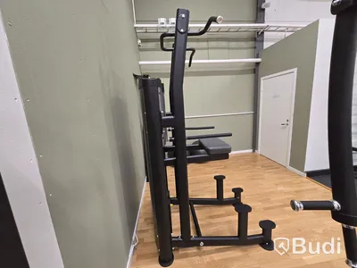 Pull-Ups/Chinsmaskin BH Fitness