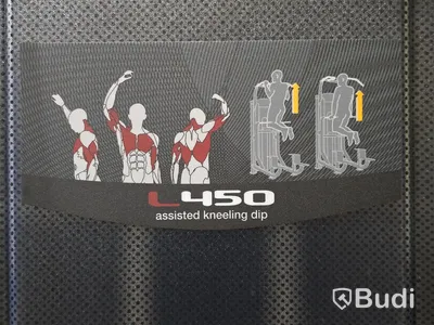 Pull-Ups/Chinsmaskin BH Fitness