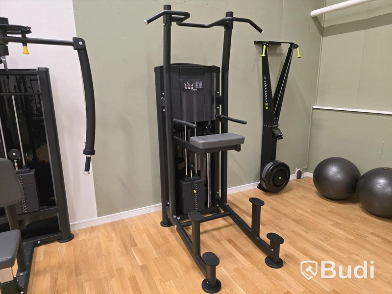 Pull-Ups/Chinsmaskin BH Fitness