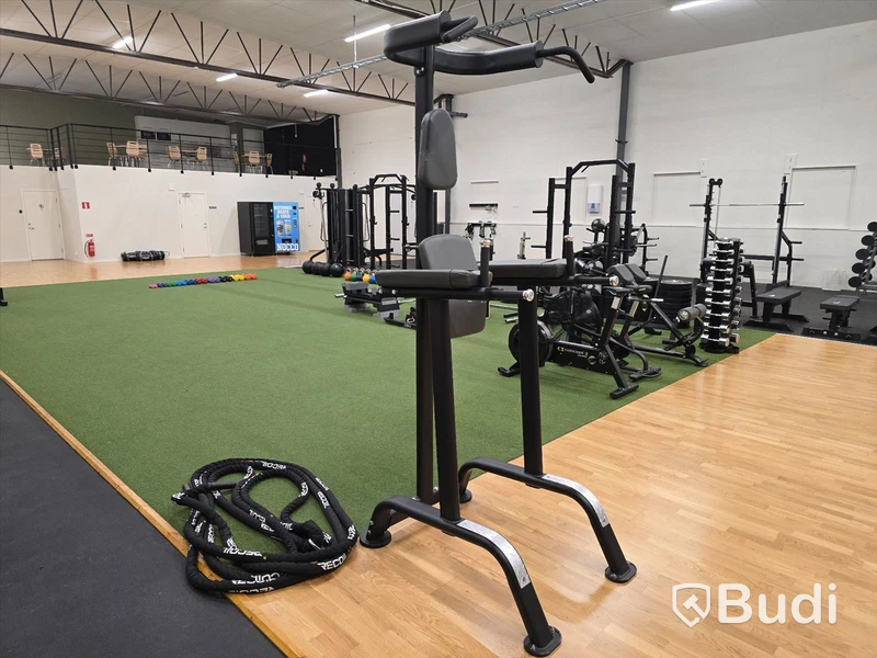 Chins- och dipsställning BH Fitness