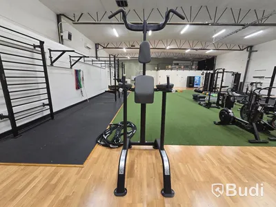 Chins- och dipsställning BH Fitness