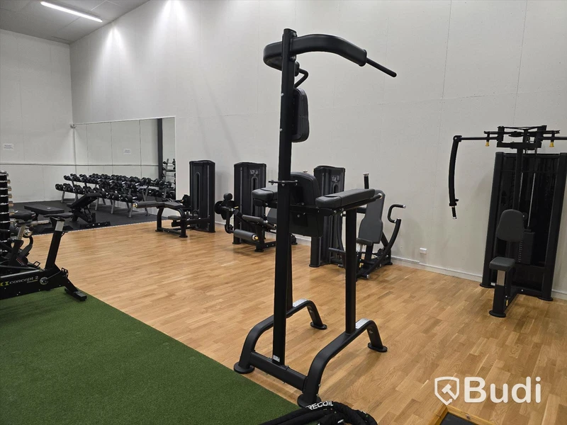 Chins- och dipsställning BH Fitness