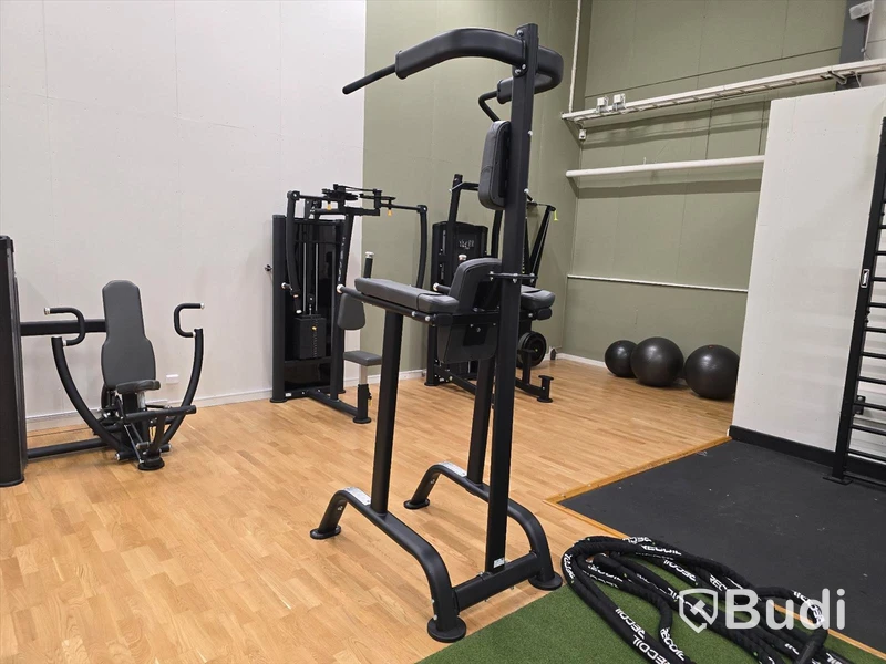 Chins- och dipsställning BH Fitness