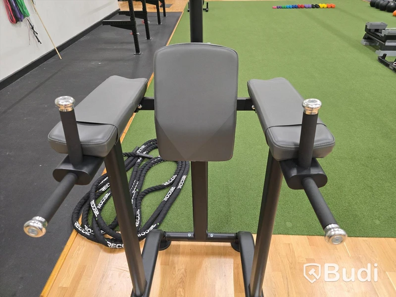Chins- och dipsställning BH Fitness