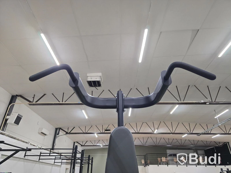Chins- och dipsställning BH Fitness