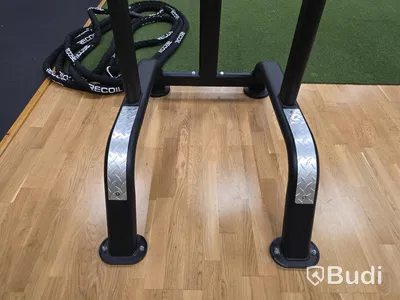 Chins- och dipsställning BH Fitness