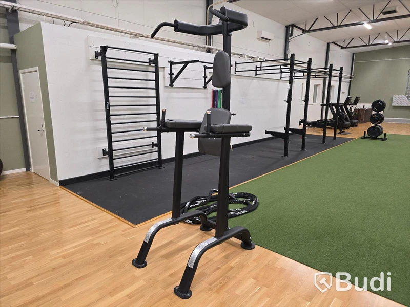 Chins- och dipsställning BH Fitness