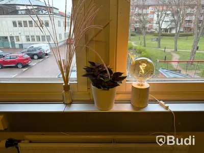 Kontorsplats, datorskärm m.m.