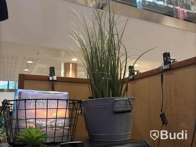 Lot of artificial trees & plants