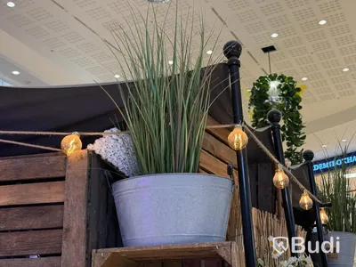 Lot of artificial trees & plants