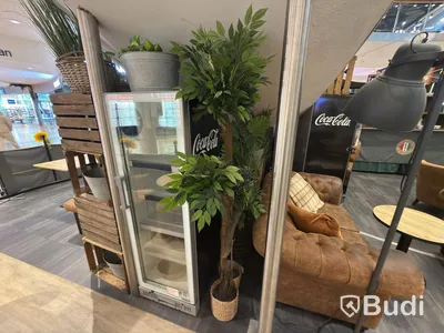 Lot of artificial trees & plants