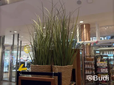 Lot of artificial trees & plants