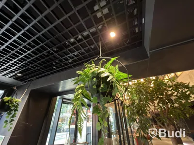 6 hanging planters with artificial plants