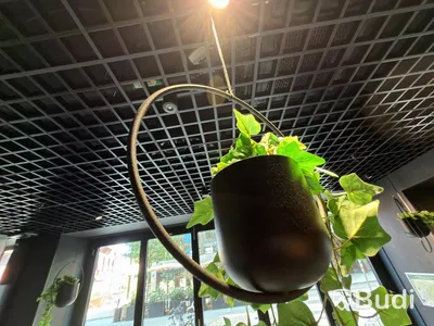 6 hanging planters with artificial plants