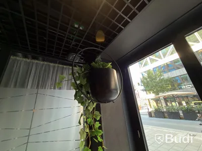 6 hanging planters with artificial plants