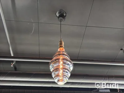 60 Ceiling Lamps