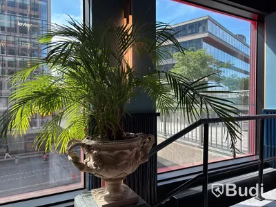 2 Pedestals incl. Plant