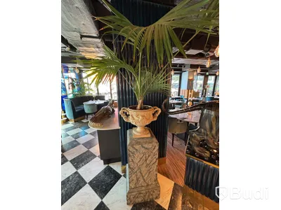 2 Pedestals incl. Plant
