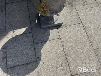 8 st. Växter inkl. krukor
