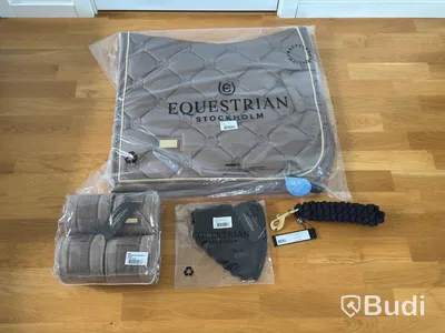 Dressage saddle pad, leg wraps and ear bonnet, Equestrian Stockholm, champagne