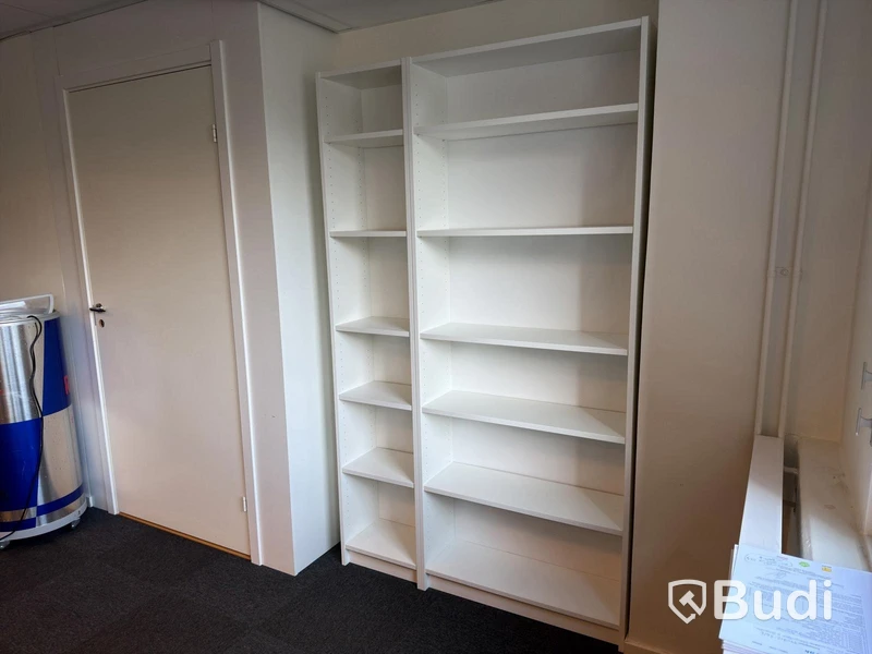 Storage cabinet and bookcases