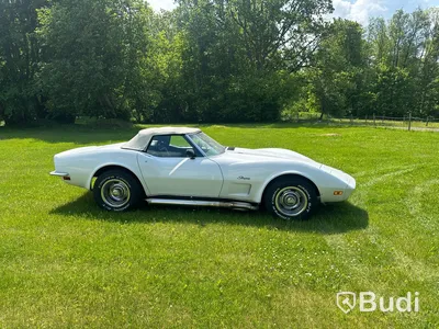 Chevrolet Corvette Big Block 454 Matching Numbers I bruksskick.