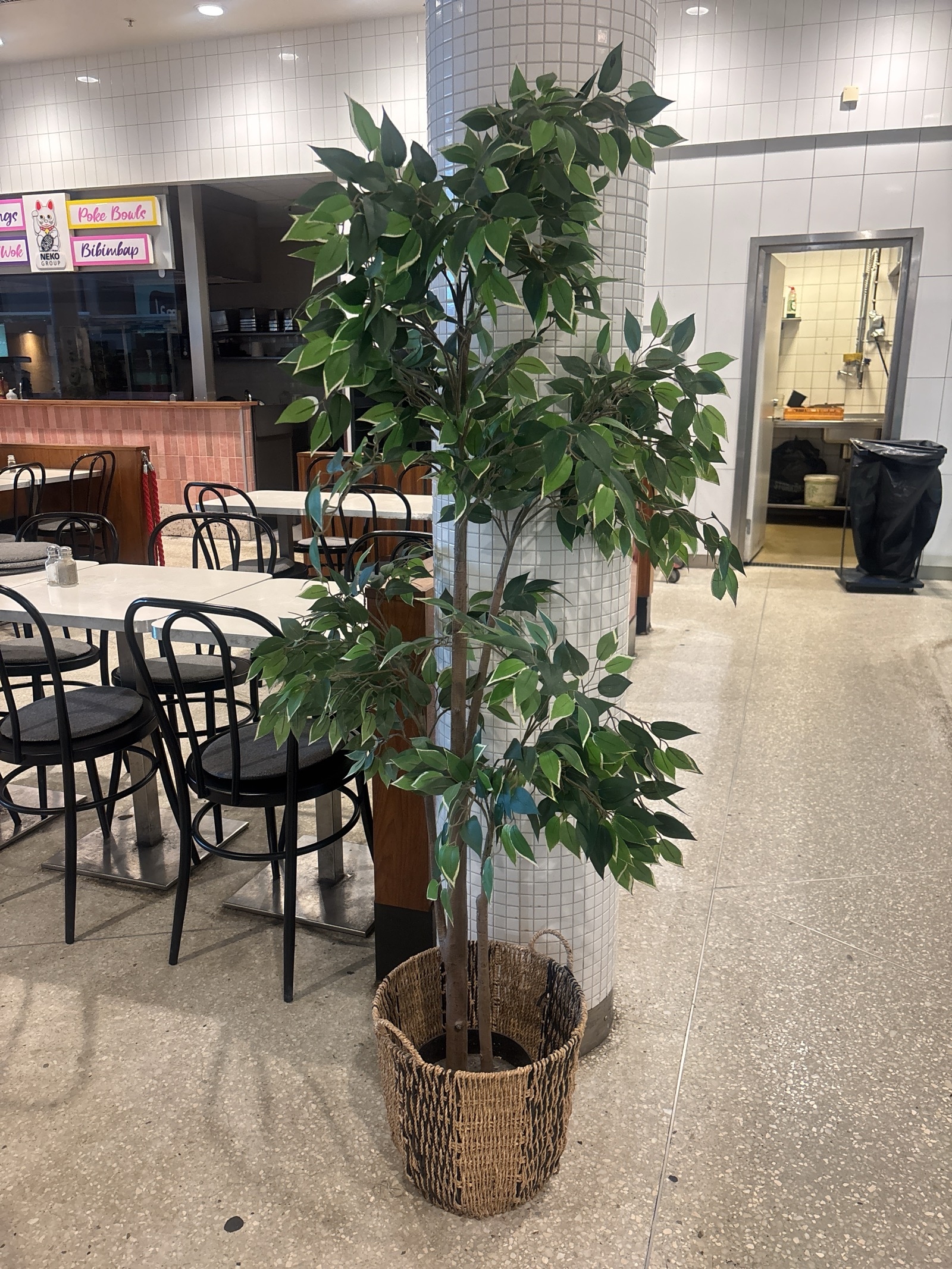 Plastväxt inkl. korg