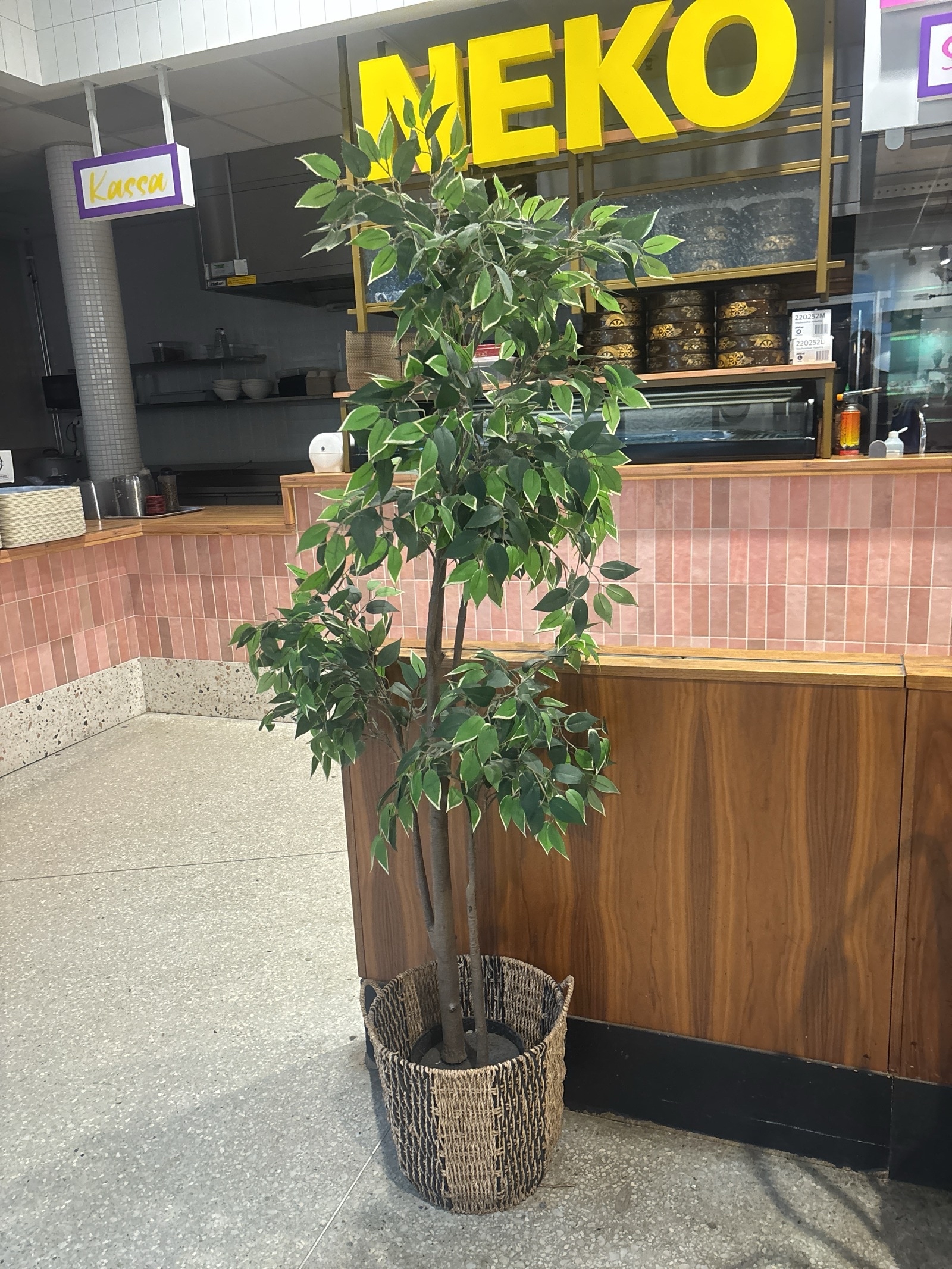 Plastväxt inkl. korg