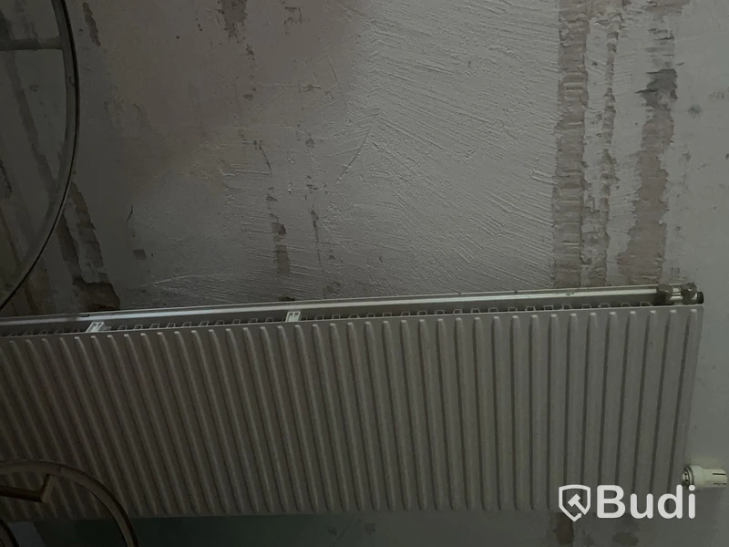 Radiator, 161x50 cm