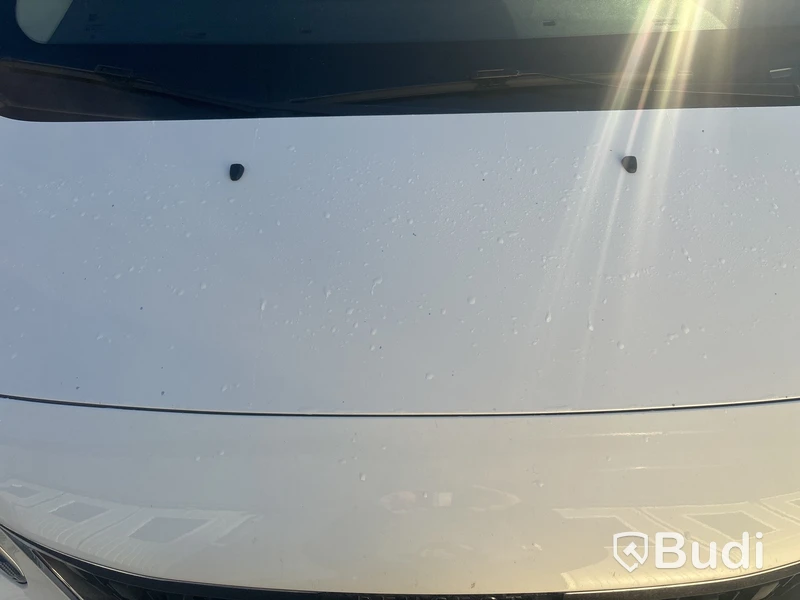 PEUGEOT DANGEL EXPERT 4X4 -2019 | DIESEL