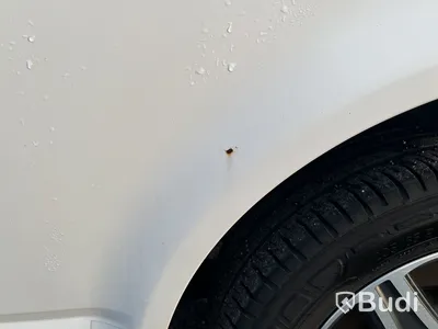 Volkswagen Transporter, -2018 | 4Motion | Dragkrok