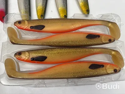 Parti med fiskedrag