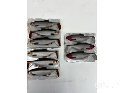 Parti med Fiskedrag