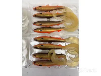 Parti med Fiskedrag