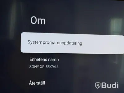 55” TV Sony BRAVIA XR-55X94J