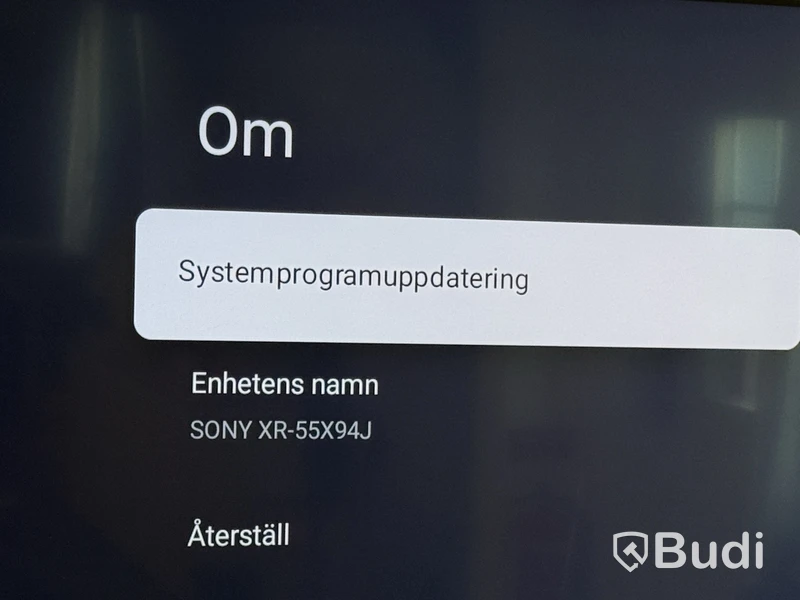 55” TV Sony BRAVIA XR-55X94J