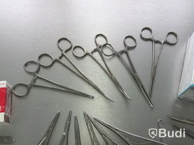Assortment of stainless steel surgical instruments, incl. Kruuse, Dewimed and Glorius
