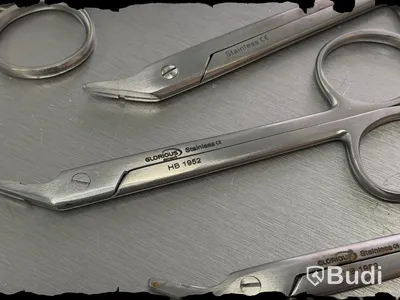 Assortment of stainless steel surgical instruments, incl. Kruuse, Dewimed and Glorius