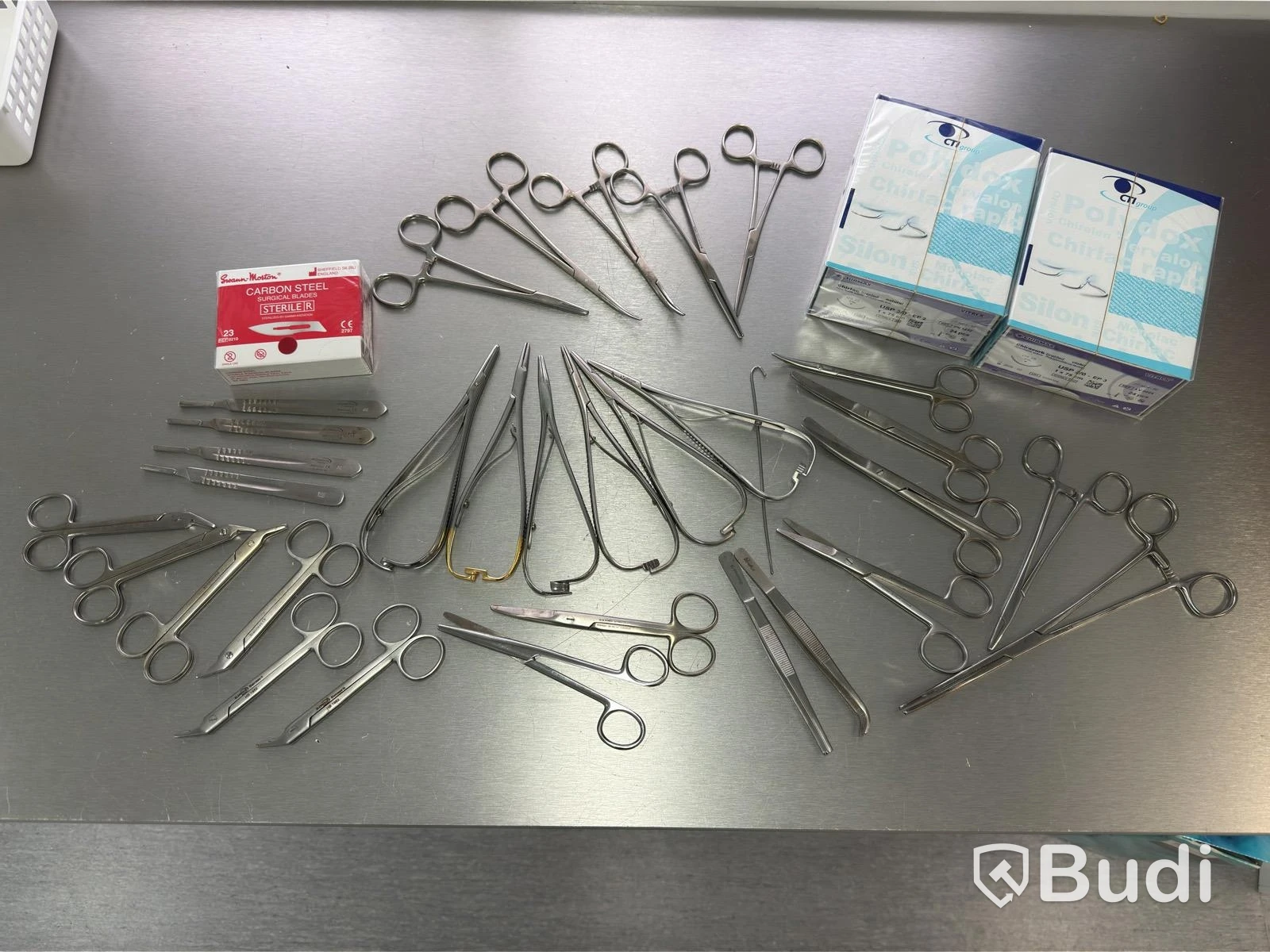 Assortment of stainless steel surgical instruments, incl. Kruuse, Dewimed and Glorius