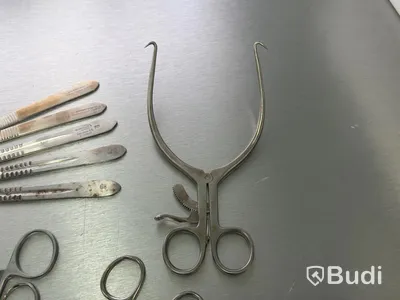 Assortment of stainless steel surgical instruments, incl. Kruuse, Dewimed and Glorius #2
