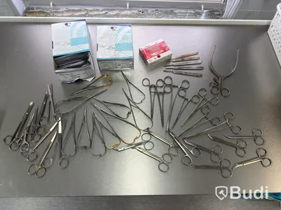 Assortment of stainless steel surgical instruments, incl. Kruuse, Dewimed and Glorius #2