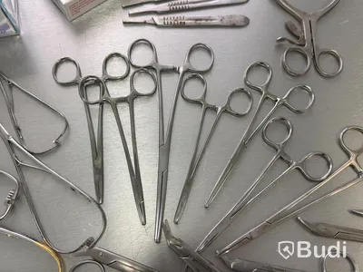 Assortment of stainless steel surgical instruments, incl. Kruuse, Dewimed and Glorius #2