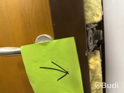 Solid wood security door