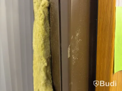Solid wood security door