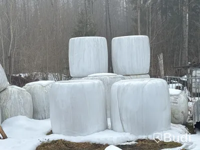 Hösilage 38 st balar