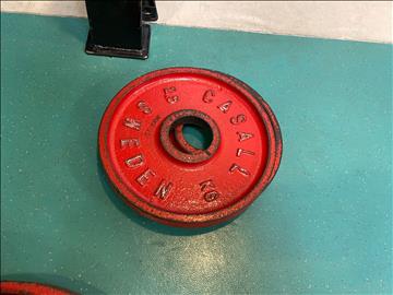 2st Viktskivor Casall 2,5kg