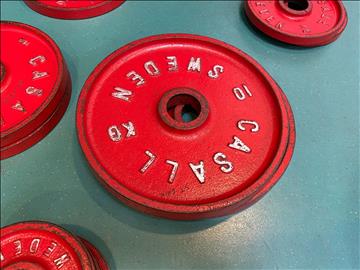 2st Viktskivor Casall 10kg