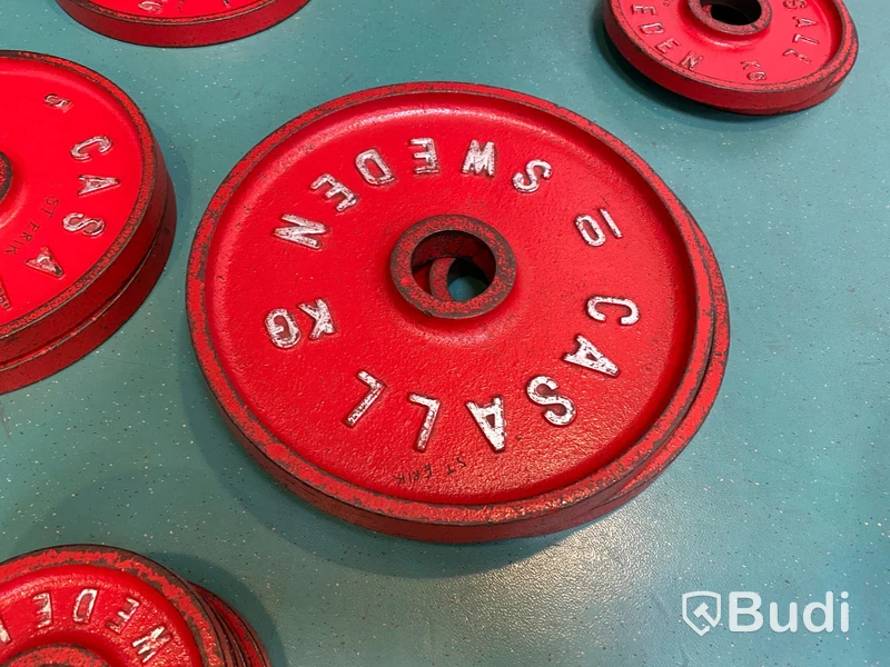 2st Viktskivor Casall 10kg