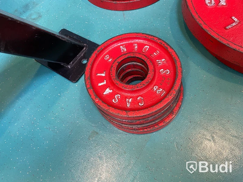 4st Viktskivor Casall 1,25kg