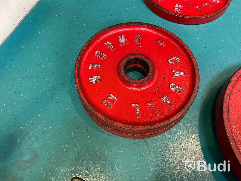 2st Viktskivor Casall 5kg